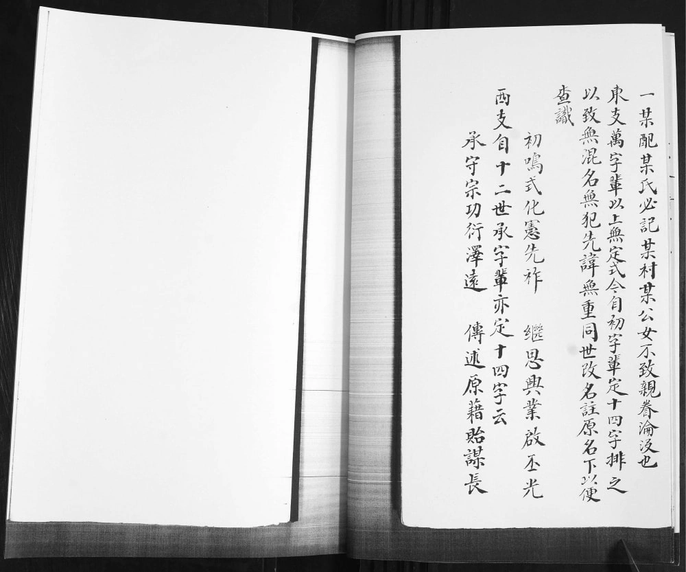 图片[4]-山东青岛即墨丰城任氏族谱电子版PDF下载-中华家谱网