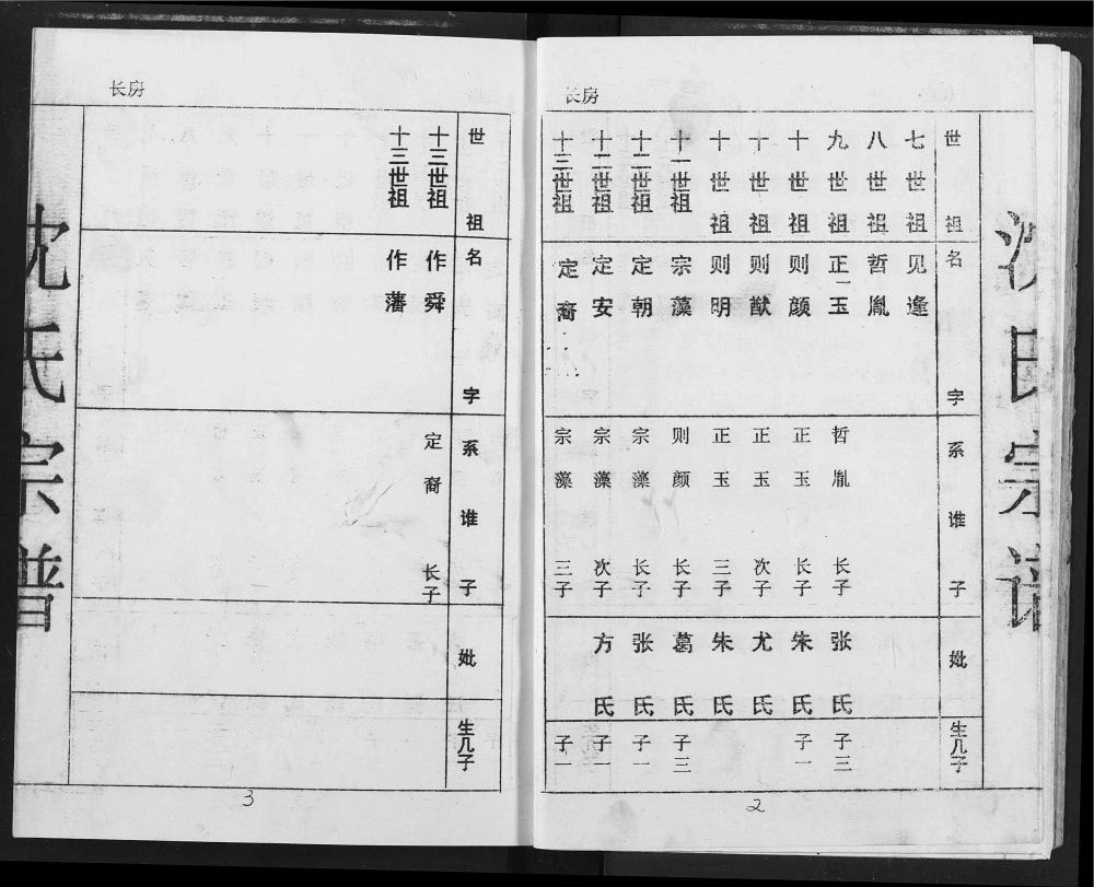 图片[4]-湖北应城沈氏宗谱电子版PDF下载-中华家谱网