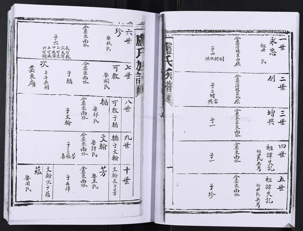 图片[3]-山东日照卢氏族谱电子版PDF下载-中华家谱网