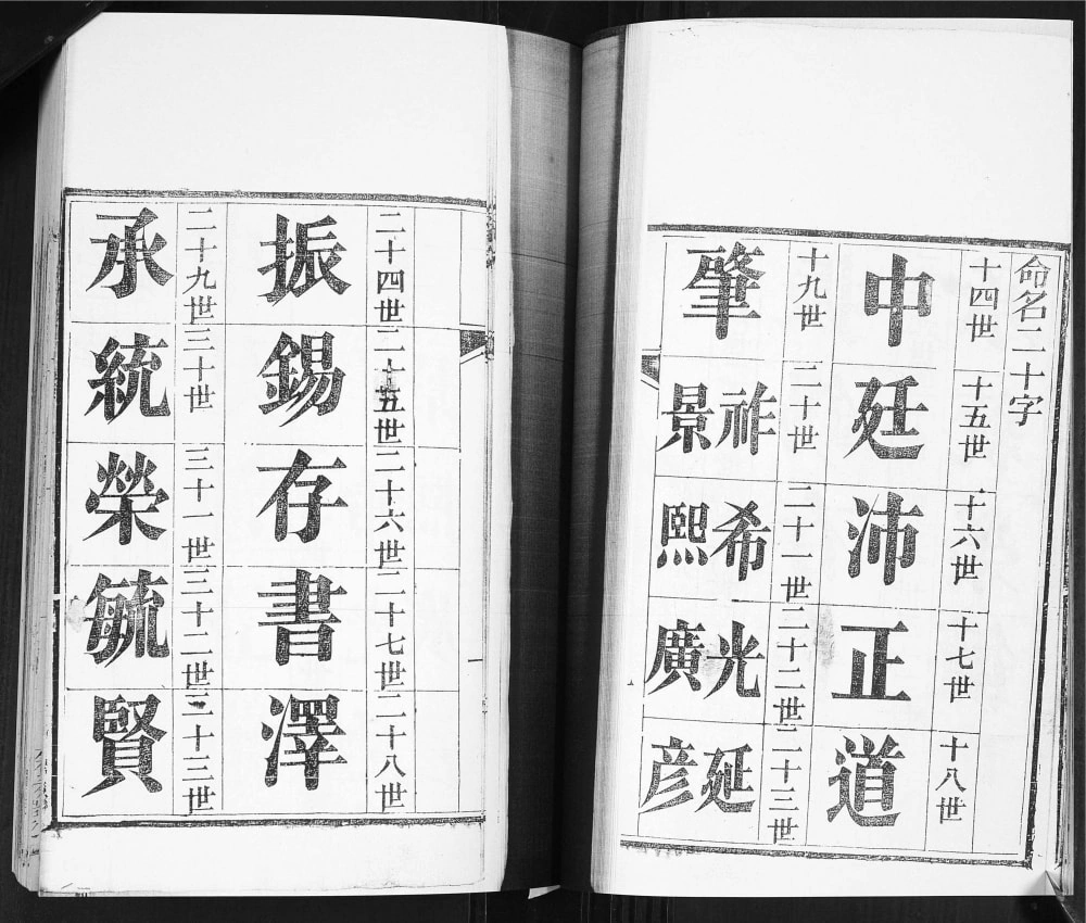 图片[3]-山东青岛即墨范家街范氏族谱电子版PDF下载-中华家谱网
