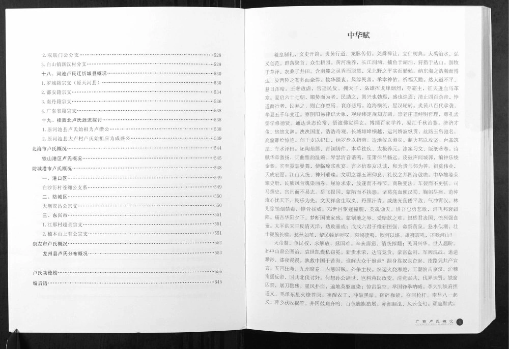 图片[9]-广西卢氏族谱电子版PDF下载-中华家谱网