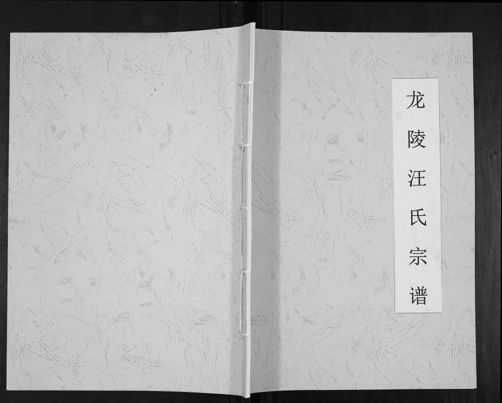 图片[1]-云南保山龙陵汪氏宗谱电子版PDF下载-中华家谱网