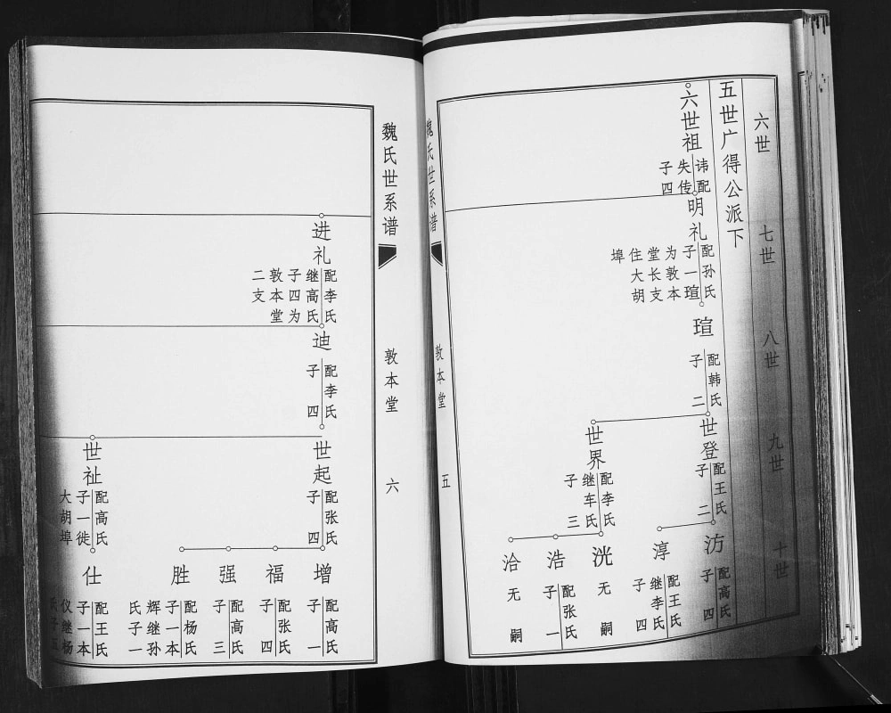 图片[7]-山东青岛城阳区魏家庄魏氏世系谱（追远堂）电子版PDF下载-中华家谱网