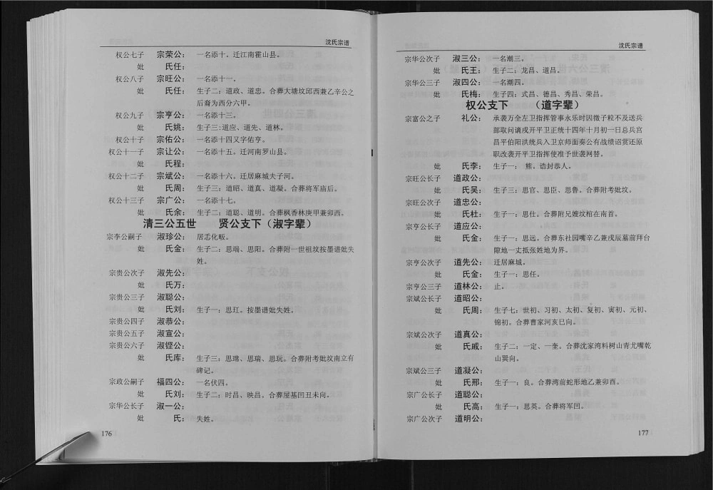 图片[7]-湖北武汉新洲区沈氏宗谱电子版PDF下载-中华家谱网
