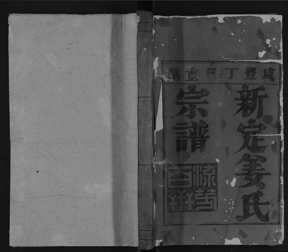 图片[1]-浙江杭州淳安县新定姜氏宗谱电子版PDF下载-中华家谱网