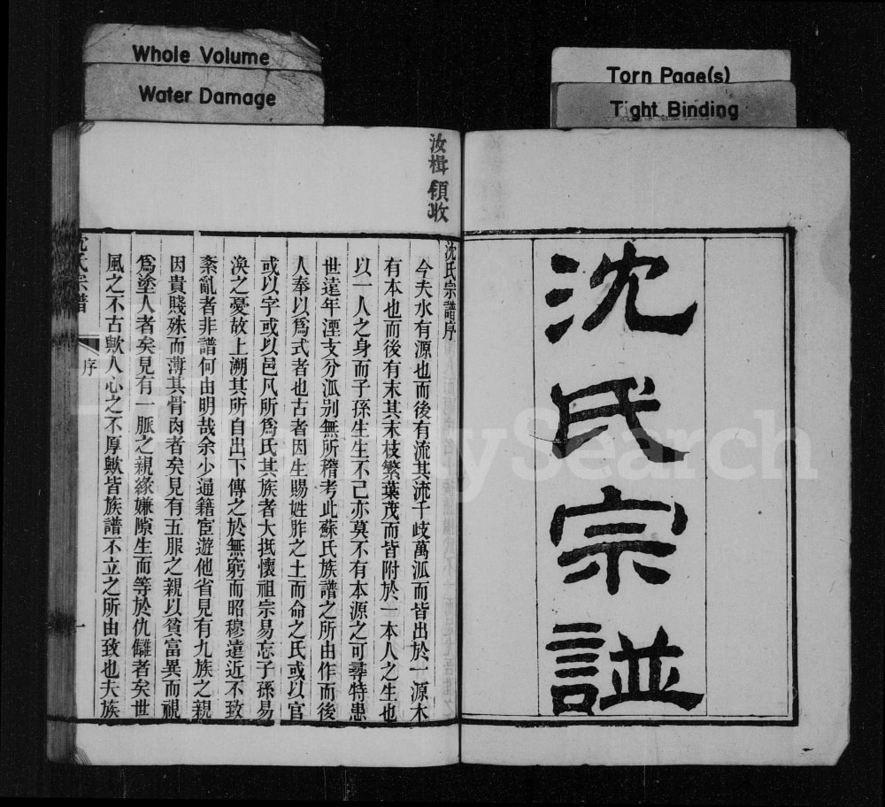 图片[1]-江苏淮安沈氏宗谱电子版PDF下载-中华家谱网