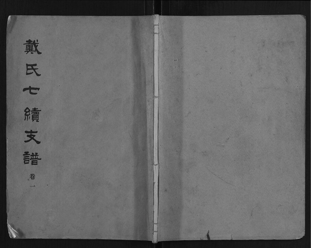 图片[1]-湖南益阳戴氏七续支谱电子版PDF下载-中华家谱网