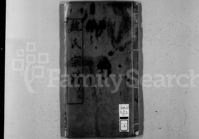 湖北武汉新洲区魏氏宗谱(大名堂)电子版PDF下载-中华家谱网
