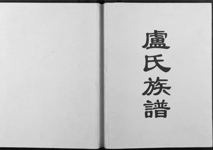 广西卢氏族谱电子版PDF下载-中华家谱网
