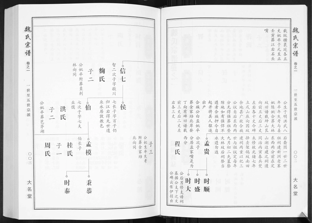 图片[7]-湖北武汉新洲区魏氏六续宗谱（大名堂）电子版PDF下载-中华家谱网