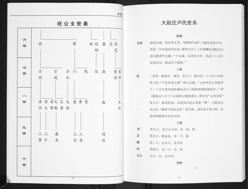图片[6]-山东滕州大赵庄卢氏家谱电子版PDF下载-中华家谱网