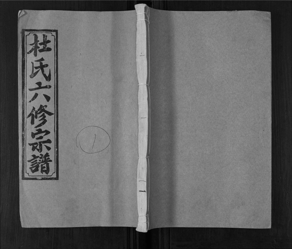 图片[1]-湖南邵阳杜氏六修宗谱（宝田堂）电子版PDF下载-中华家谱网