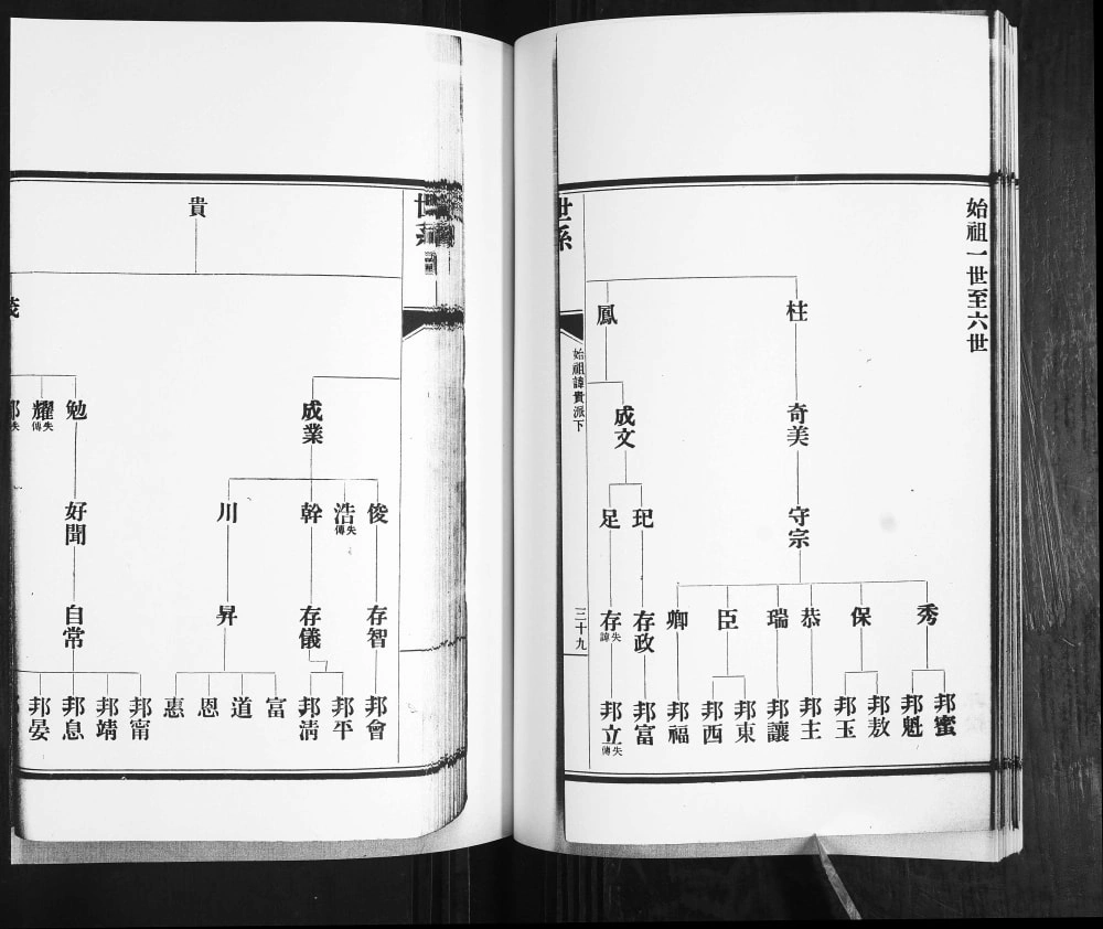 图片[4]-山东青岛即墨金口任氏族谱电子版PDF下载-中华家谱网