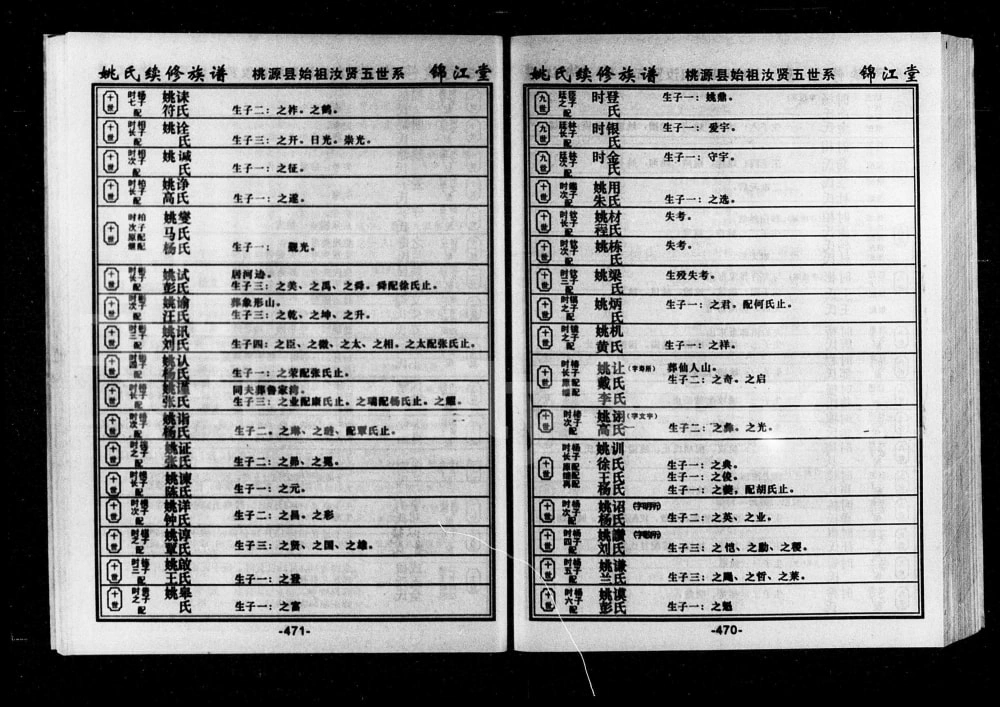 图片[8]-湖南常德桃源县姚氏族谱（锦江堂）电子版PDF下载-中华家谱网