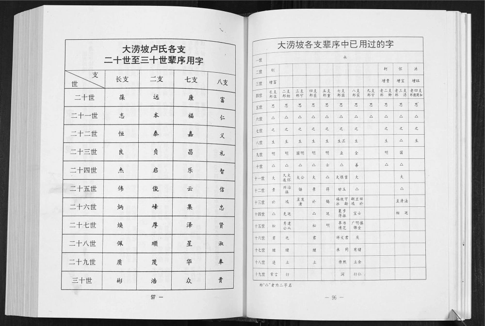 图片[6]-山东临沂莒南县鲁莒涝坡卢氏族谱电子版PDF下载-中华家谱网