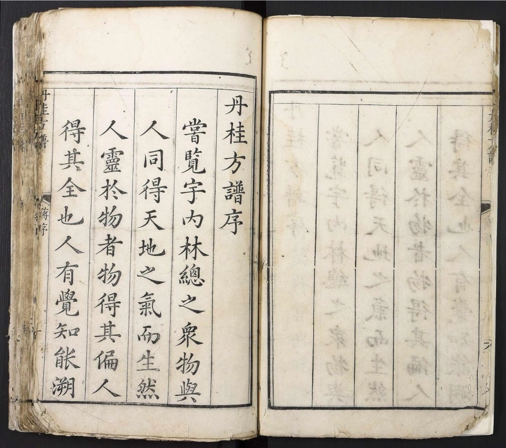 图片[2]-广东佛山南海区丹桂方谱电子版PDF下载-中华家谱网