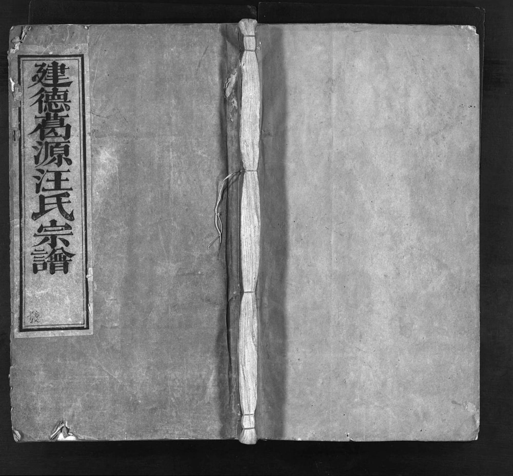 图片[1]-安徽池州建德葛源汪氏宗谱（光裕堂）电子版PDF下载-中华家谱网