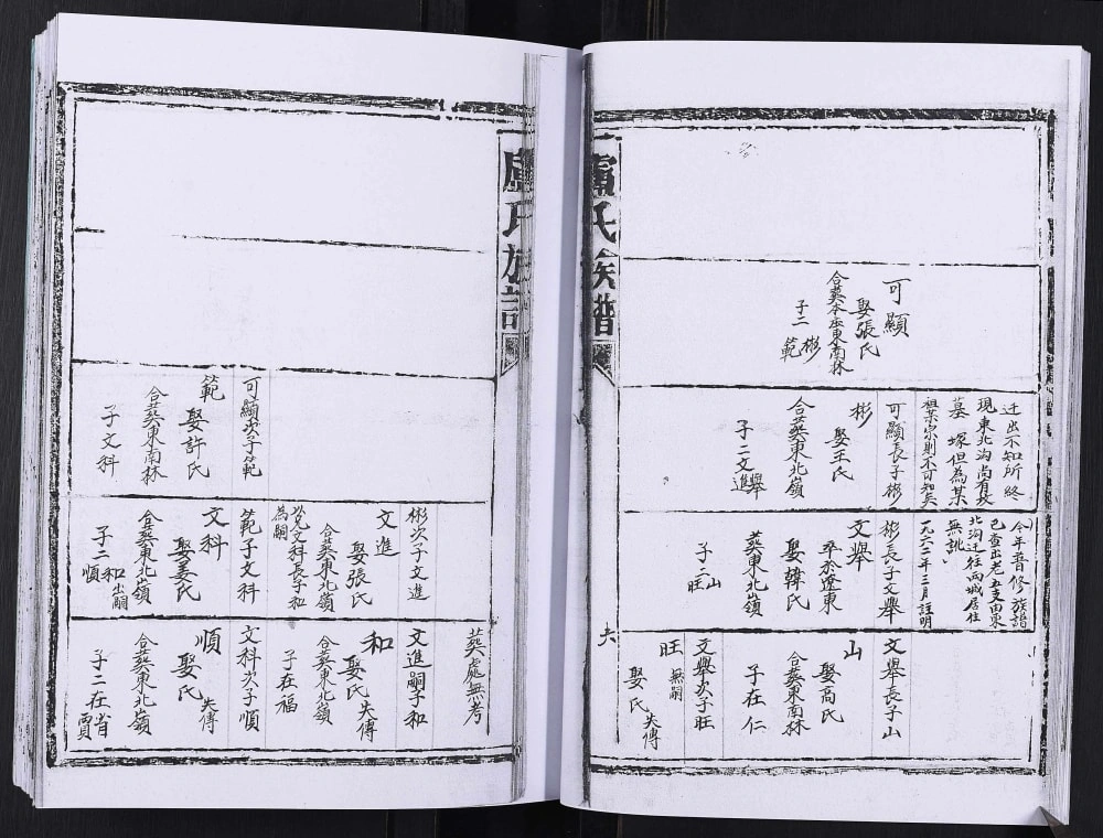 图片[8]-山东日照卢氏族谱电子版PDF下载-中华家谱网