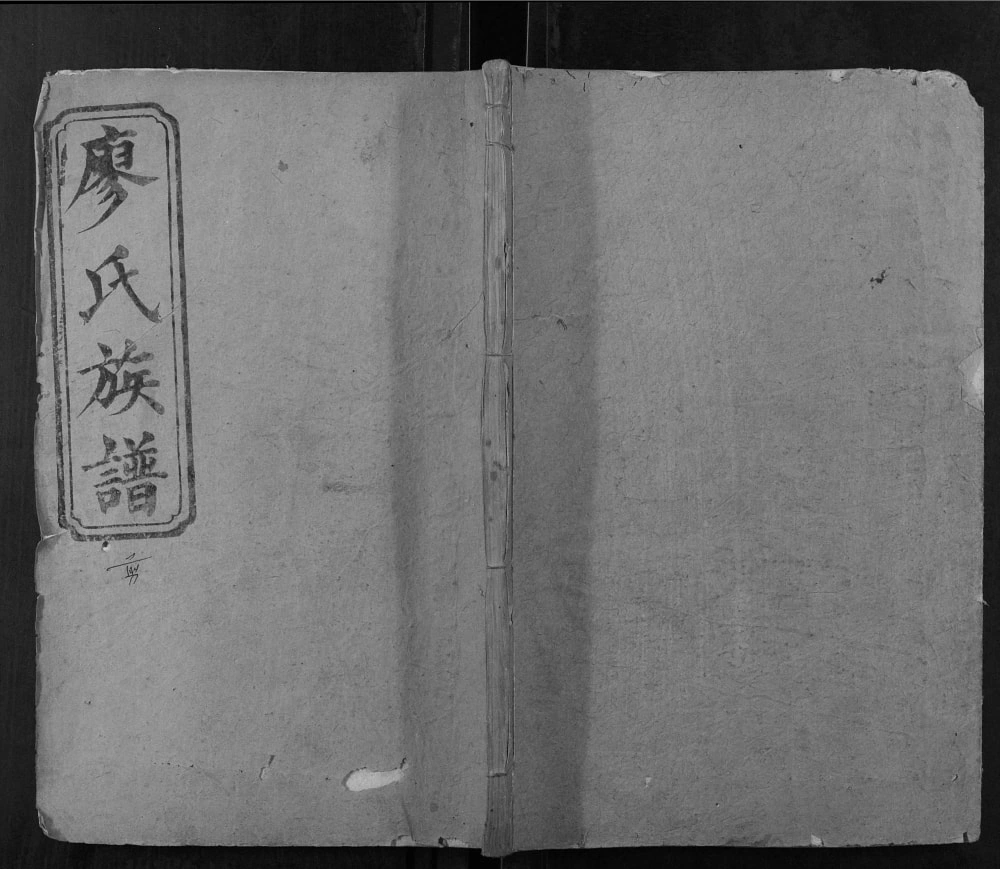 图片[1]-湖南常德桃源县廖氏续修族谱（忠孝堂）电子版PDF下载-中华家谱网