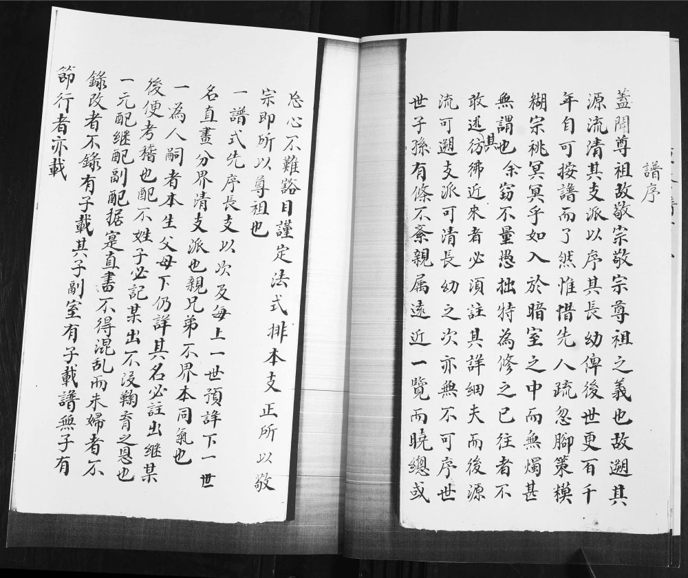 图片[3]-山东青岛即墨丰城任氏族谱电子版PDF下载-中华家谱网