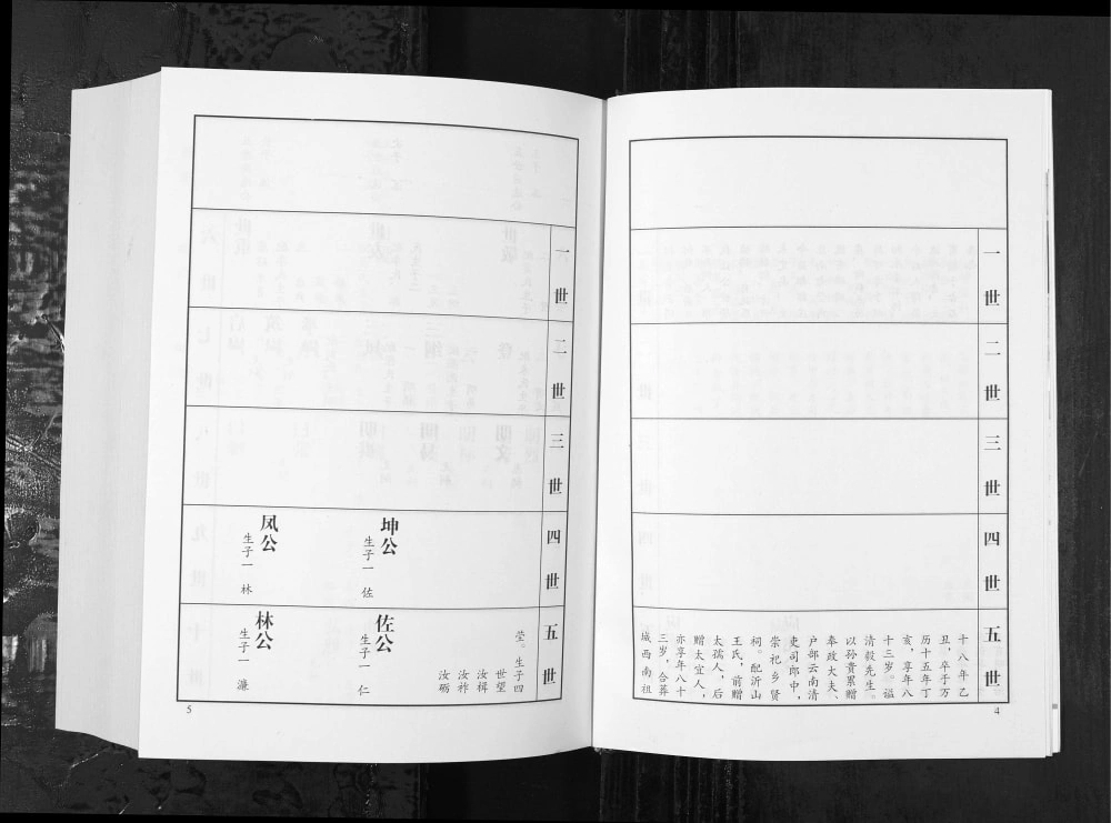 图片[4]-山东潍坊临朐县傅氏族谱电子版PDF下载-中华家谱网