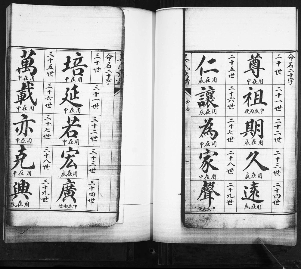图片[4]-山东青岛即墨前留村姜氏世谱电子版PDF下载-中华家谱网