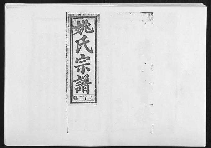 安徽安庆太湖县姚氏宗谱(成务堂)电子版PDF下载-中华家谱网