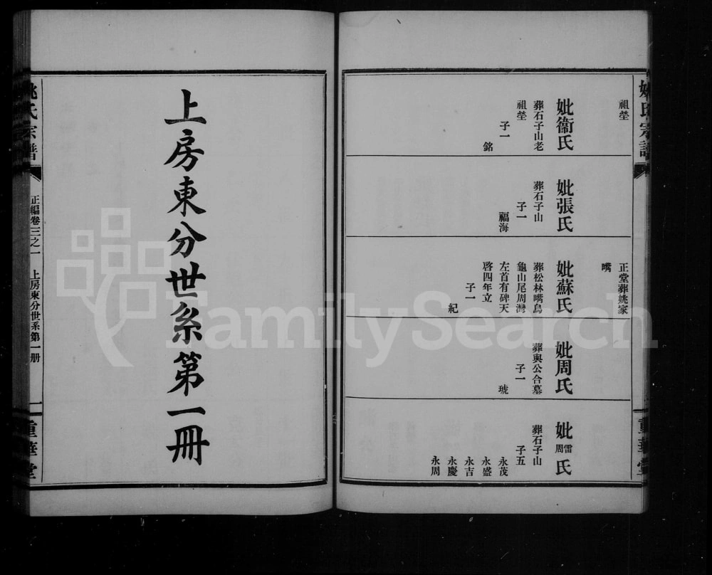 图片[7]-湖北武汉姚氏宗谱（重华堂）电子版PDF下载-中华家谱网
