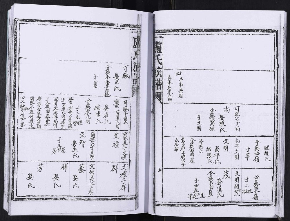 图片[7]-山东日照卢氏族谱电子版PDF下载-中华家谱网