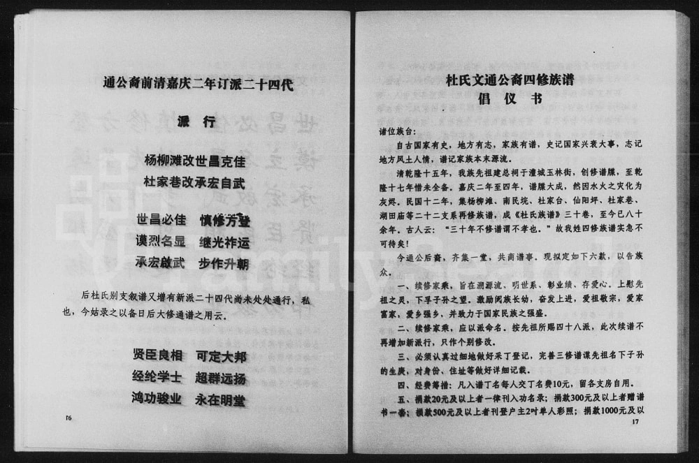 图片[5]-湖南常德文通支系杜氏族谱（京兆堂）电子版PDF下载-中华家谱网
