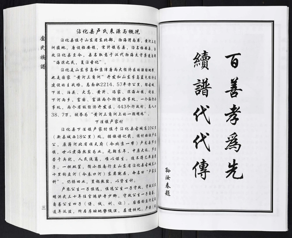 图片[3]-山东滨州沾化区卢氏家谱电子版PDF下载-中华家谱网