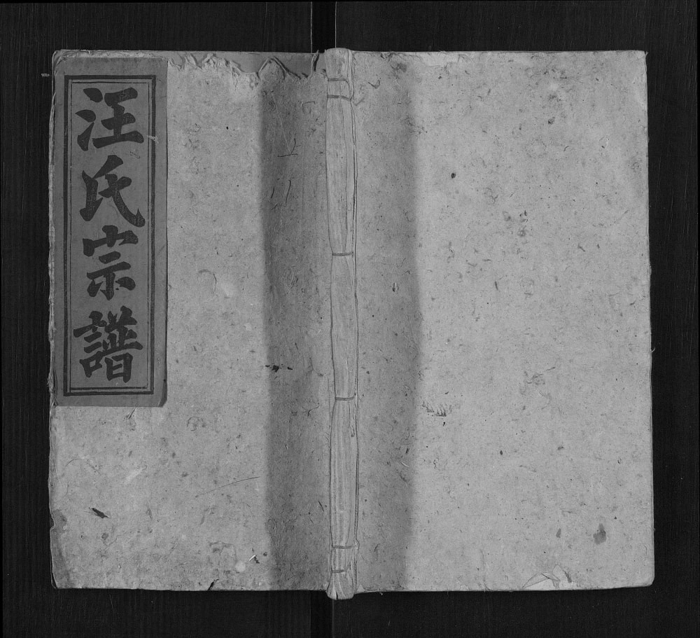 图片[1]-安徽安庆太湖县汪氏族谱电子版PDF下载-中华家谱网