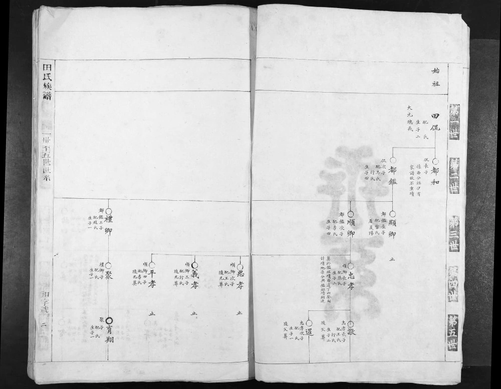 图片[3]-陕西渭南合阳县田氏族谱电子版PDF下载-中华家谱网