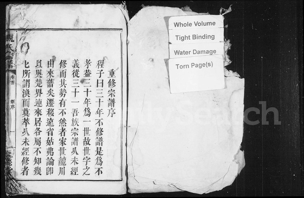 图片[1]-湖南浏阳魏氏重修宗谱（钜鹿堂，嘉庆25年本）电子版PDF下载-中华家谱网