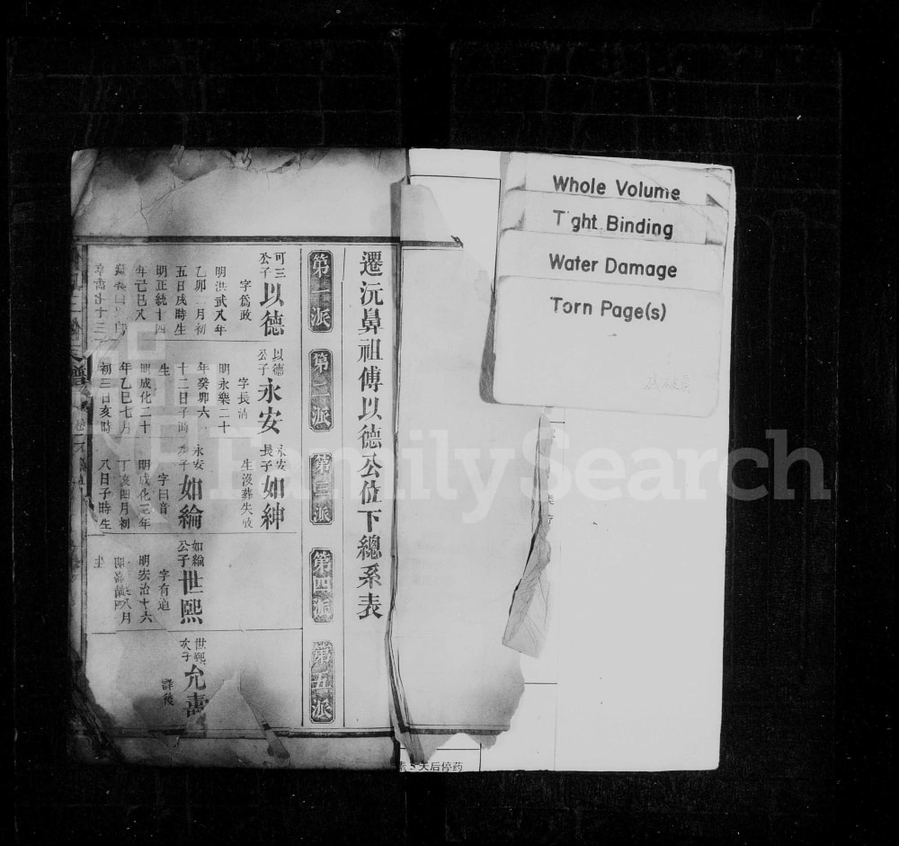 图片[4]-湖南沅江傅氏三修支谱（清河堂）电子版PDF下载-中华家谱网