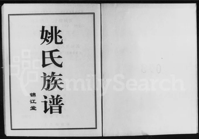 湖南常德桃源县姚氏族谱（锦江堂）电子版PDF下载-中华家谱网