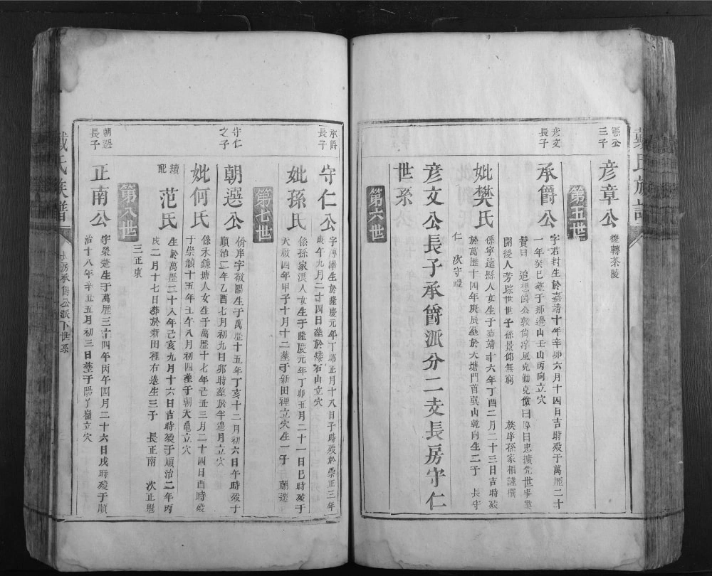 图片[8]-湖南郴州宜章县戴氏族谱电子版PDF下载-中华家谱网