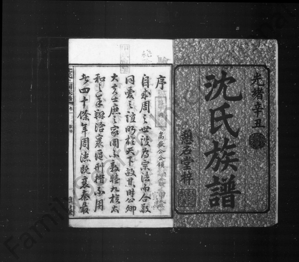 图片[2]-湖南湘乡沈氏上祠族谱（憩石堂）电子版PDF下载-中华家谱网