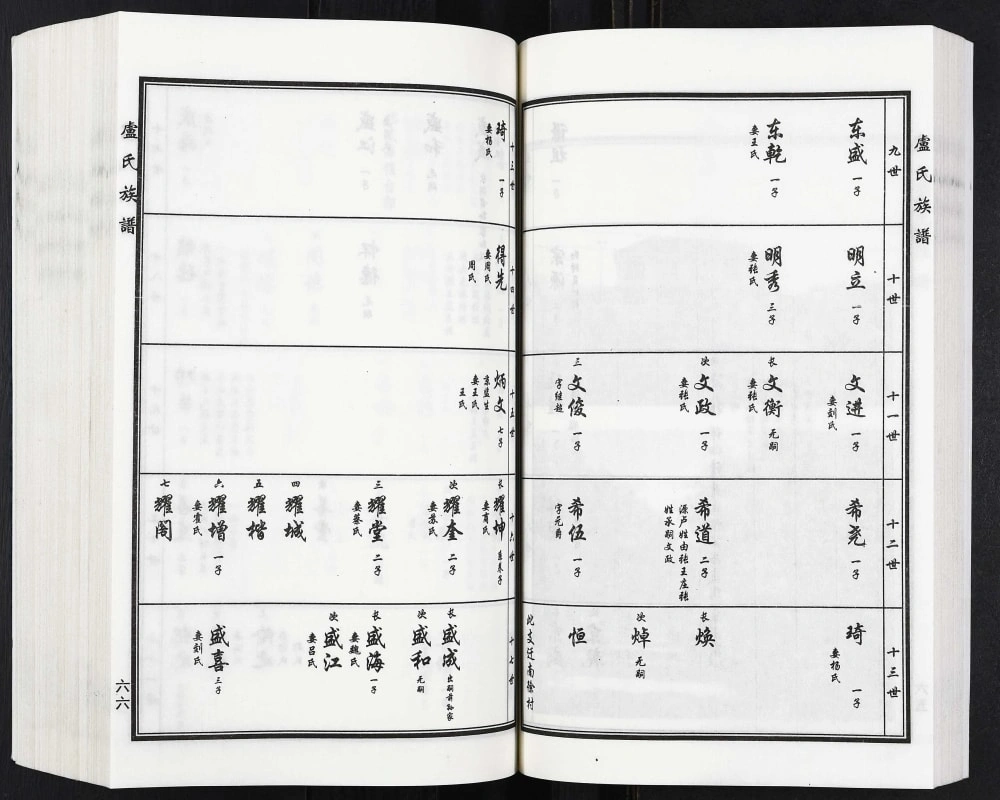 图片[8]-山东滨州沾化区卢氏家谱电子版PDF下载-中华家谱网