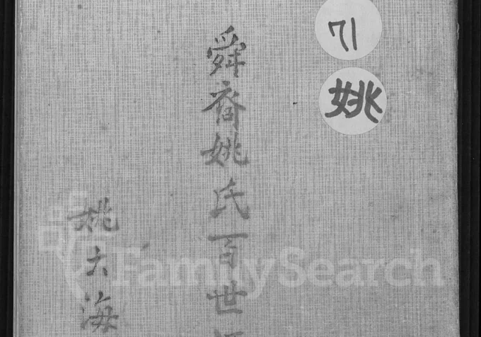 舜裔姚氏百世源流考电子版PDF下载-中华家谱网