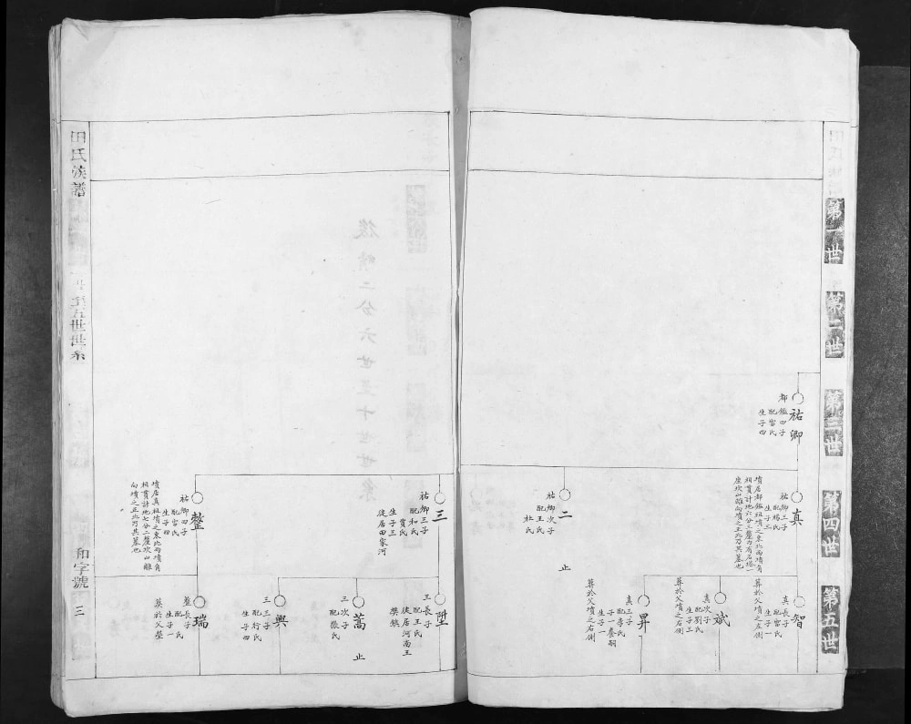 图片[4]-陕西渭南合阳县田氏族谱电子版PDF下载-中华家谱网