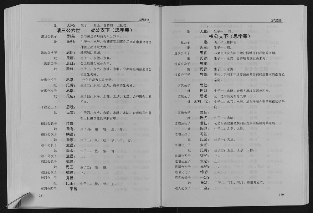 图片[8]-湖北武汉新洲区沈氏宗谱电子版PDF下载-中华家谱网