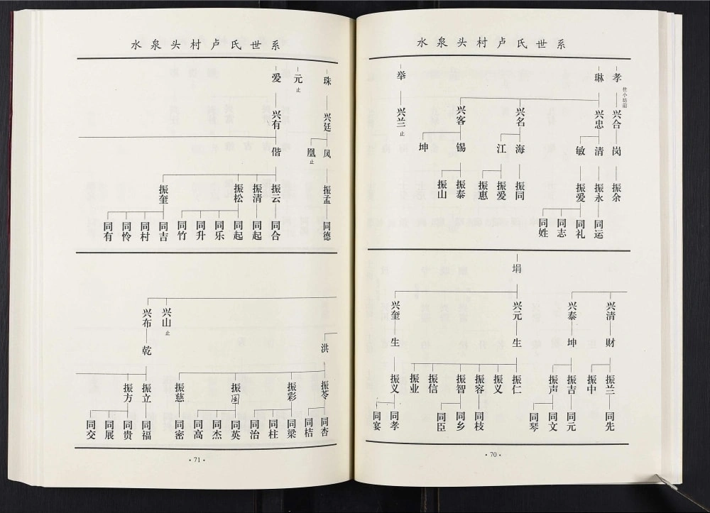 图片[6]-山东临沂莒南县水泉头卢氏族谱电子版PDF下载-中华家谱网