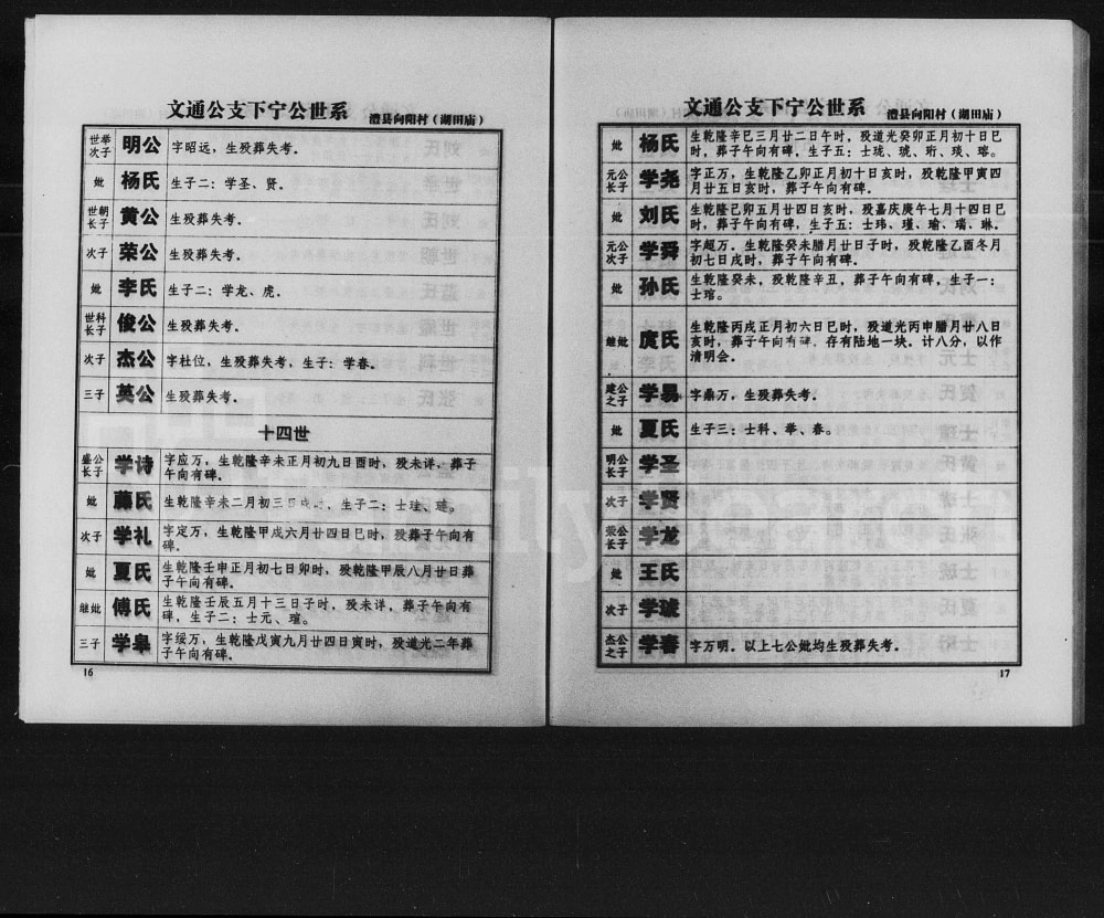 图片[8]-湖南常德文通支系杜氏族谱（京兆堂）电子版PDF下载-中华家谱网