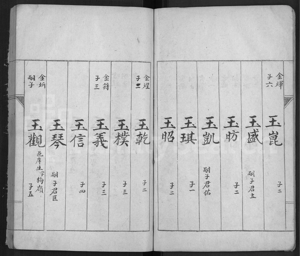 图片[8]-山东泰安宁阳县戴氏续修族谱电子版PDF下载-中华家谱网