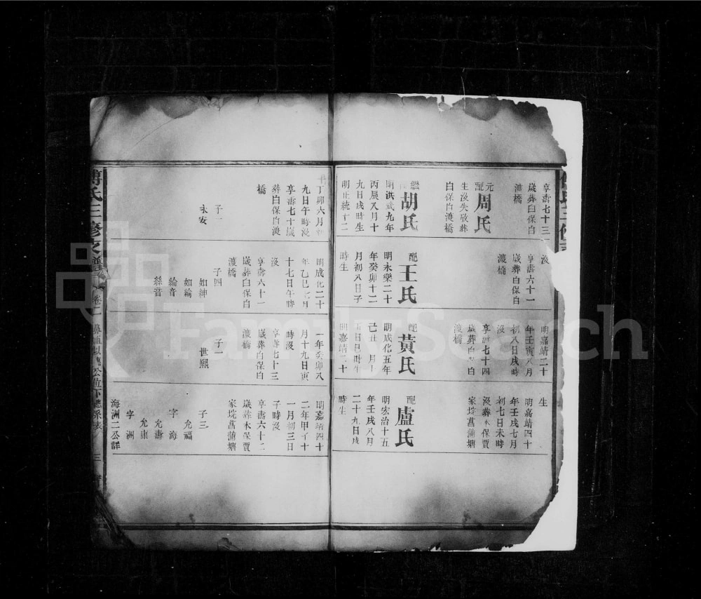图片[5]-湖南沅江傅氏三修支谱（清河堂）电子版PDF下载-中华家谱网