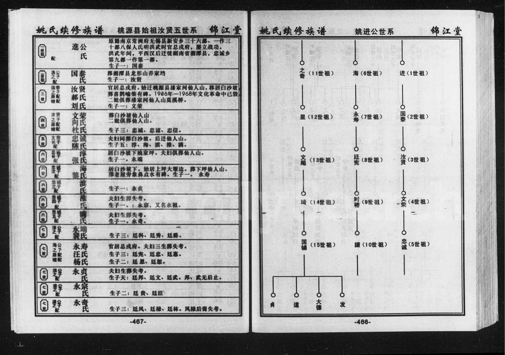 图片[6]-湖南常德桃源县姚氏族谱（锦江堂）电子版PDF下载-中华家谱网