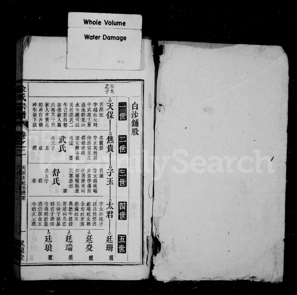 图片[6]-安徽池州贵池区金氏宗谱（聚源堂）电子版PDF下载-中华家谱网