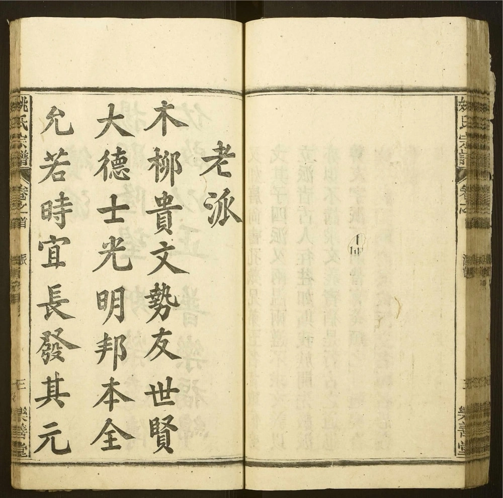 图片[3]-安徽安庆宿松县姚氏宗谱（乐善堂）电子版PDF下载-中华家谱网