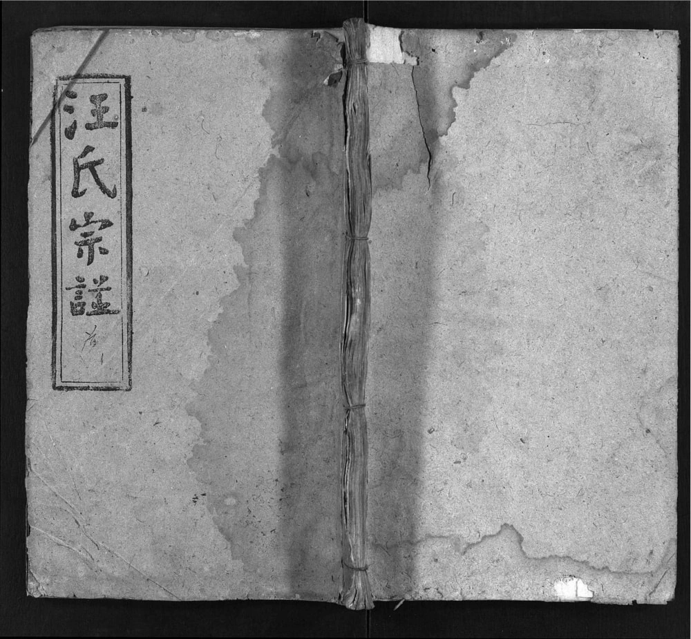 图片[1]-湖北麻城安徽六安汪氏宗谱（越源堂）电子版PDF下载-中华家谱网